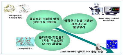 클라트린 선택적 저해제 개발을 위한 추진전략