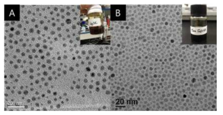 합성된 (A)은(Ag)과 (B)산화철(FeOx) 나노입자의 TEM 이미지