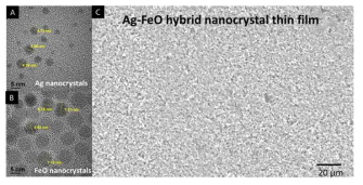 (A-B) 크기제어를 통해 실험을 통해 합성된 은 나노입자와 산화철 나노입자.(C) Ag-FeO(9:1)로 제작한 하이브리드 나노입자박막