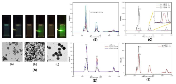 Image of photoluminescence using (A) UCNP 1, UCNP 11 and UCNP 16; (B) photoluminescence spectra according to different 980 NIR laser intensity; (C) comparison of photoluminescence of (a) UCNP 1, (b) UCNP 11 and (c) UCNP 16; (D) photoluminescence spectra of core-shell structure UCNPs (a) core material, (b) UCNP 17 and (c) UCNP 18; (E) photoluminescence of (a) UCNP 11 and (b) UCNP 18