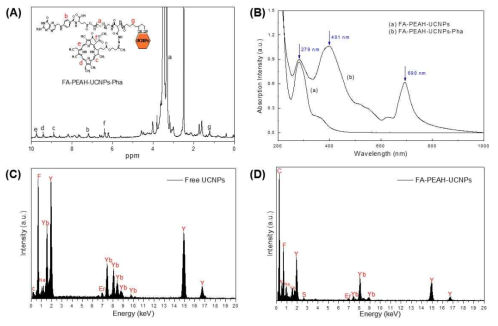 (A) 1H NMR spectra of FA-PEAH-UCNPs-Pha; (B) UV-visible absorption spectra of (a) FA-PEAH-UCNPs and (b) FA-PEAH-UCNPs-Pha; and (C) EDS spectra of free UCNPs; (D) EDS spectra of FA-PEAH-UCNPs)