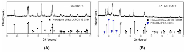 XRD patterns of (A) hexagonal-phase NaYF4:Yb/Er UCNPs, and (B) copolymer- modified hexagonal-phase NaYF4:Yb/Er UCNPs (FA-PEAH-UCNPs), Bottom line patterns are the hexagonal-phase (JCPDS 16-0334) and PEG 4000 (JCPDS 49-2095)