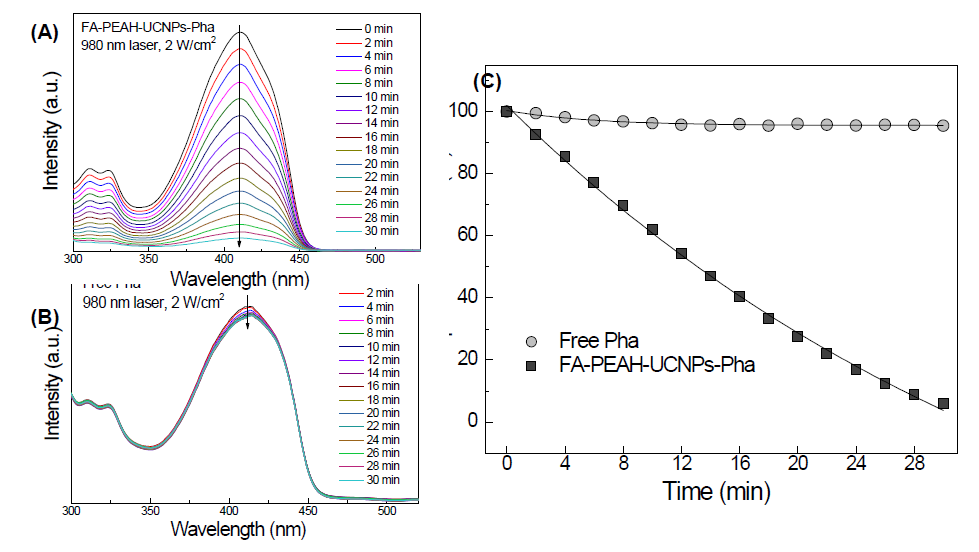 (A) The decrease in absorbance intensity of DPBF at 411 nm at different irradiation time of FA-PEAH-UCNPs-Pha, (B) the decrease in absorbance intensity of DPBF at 411 nm at different irradiation time of free Pha, and (C) singlet oxygen generation from free Pha and FA-PEAH-UCNPs-Pha detected by using DPBF as a function of 980 nm laser irradiation time