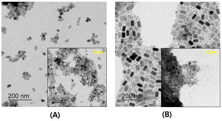 TEM image of UCNPs with core-shell structure. (A) core-shell UCNPs with non-uniform core materials and (B) core-shell UCNPs with uniform core materials
