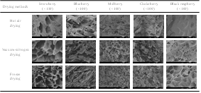 Scanning electron micrographs (SEM) of dried berry fruits including strawberry, blueberry, mulberry, chokeberry, and black raspberry by different drying methods such as hot-air, vacuum, and freeze