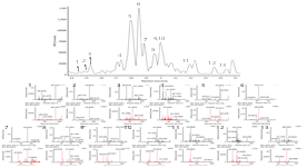 UPLC-Q-TOF MS chromatogram and MS/MS spectra of bioactive compounds including phenolics in fresh strawberry. Peak indentities: 1, procyanidin trimer; 2, bis-HHDP-glucose; 3, eriodictoyl-7-O-sophoroside; 4, D-(+)-tryptophan; 5, perlargonidin-3-O-glucoside; 6, epicatechin; 7, coumaroyl glucose; 8, pelargonidin acetyl hexoside; 9, gallo yl-HHDP-glucoside; 10, ellagic acid-methyl pentoside; 11, ellagic acid; 12, kaempferol-3-glucuronide; 13, daempferol -3-acetylglucoside