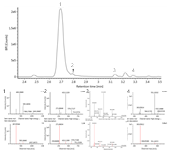UPLC-Q-TOF MS chromatogram and MS/MS spectra of anthocyanins in fresh mulberry. Peak indentities: 1, cyanidine-3-rutinoside; 2, pelargonidin-3-rutinoside; 3, delphinidin-3-rutinoside; 4, delphinidin-3-(malonoyl)glucoside