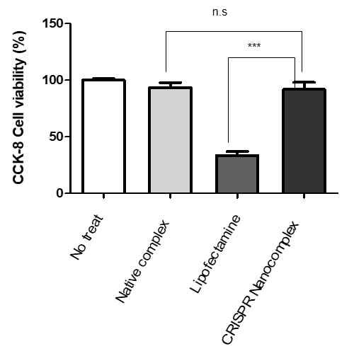 CCK8 assay 통한 세포생존율 분석