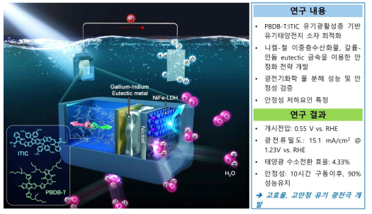 본 연구과제의 모식도 및 연구내용과 연구 결과