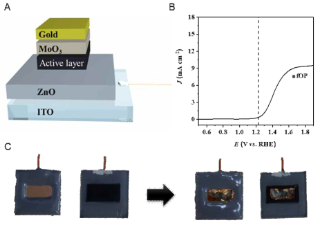 (A) 유기태양전지 구조 모식도. (B) 유기태양전지 광전극 J-V 성능측정 결과 그래프.(nfOP = non fullerene organic photovoltaic) (C) nfOP 물속에서 측정 전후 상태 비교 사진