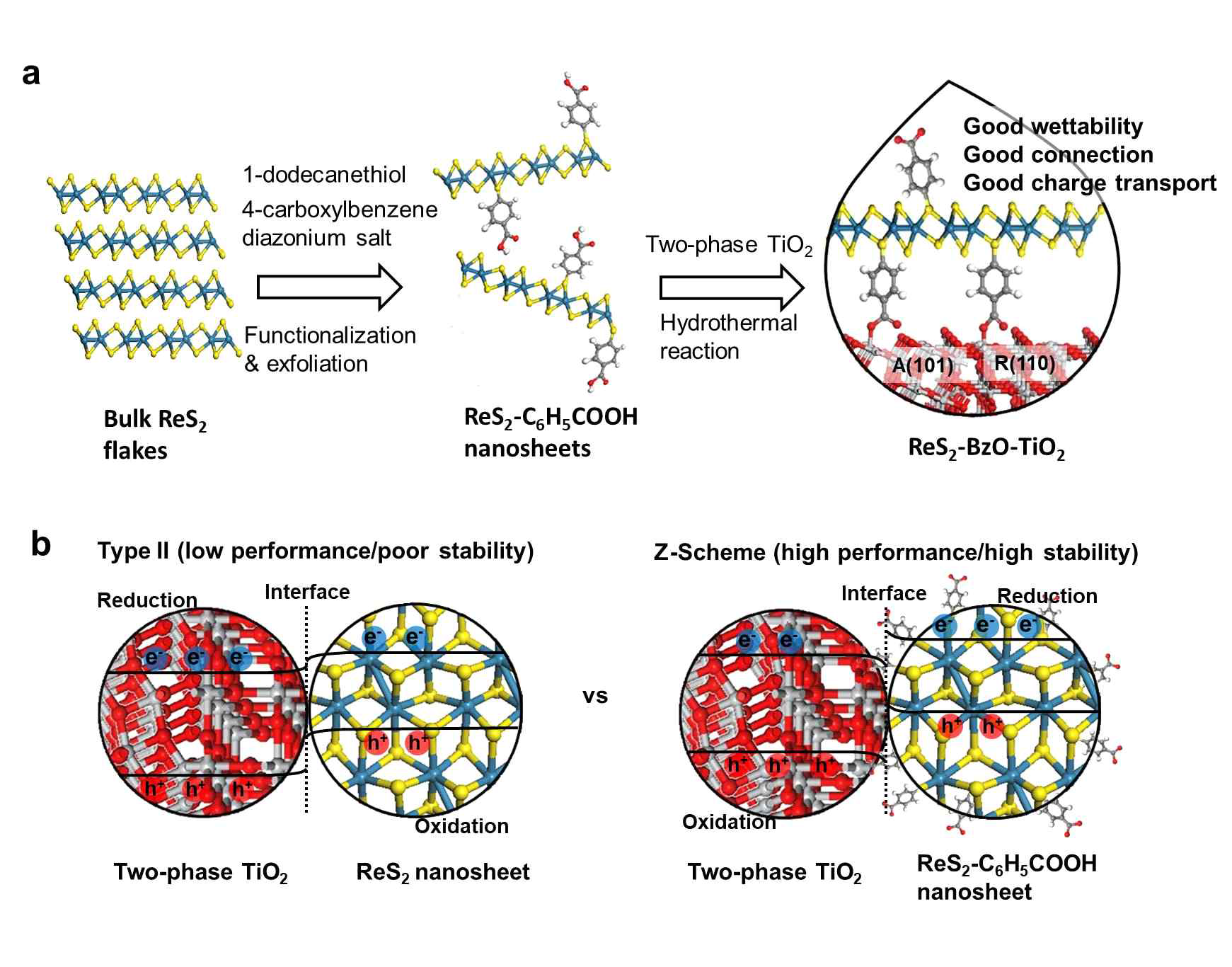(A) 광촉매 활성 반도체 물질의 결합 (ReS2-분자-TiO2) (b) 결합 방법에 따른 전하 이동