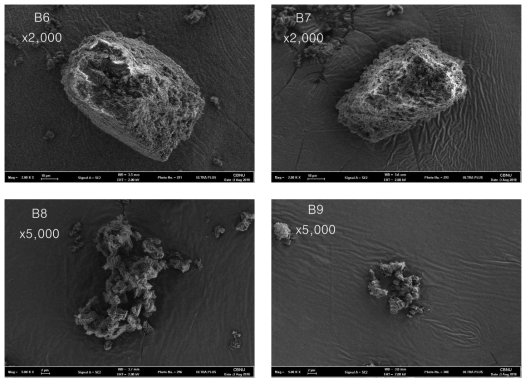 습식 볼밀을 통해 제조된 마이크로입자의 주사 전자 현미경 사진