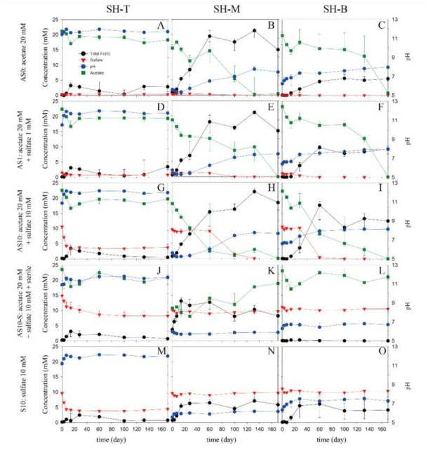 시간에 따른 total Fe(II), sulfate, pH, acetate 변화 양상(실험조건:　Acetate 0-20mM, 황산염 0-10mM, 고온고압살균 유무 조건)