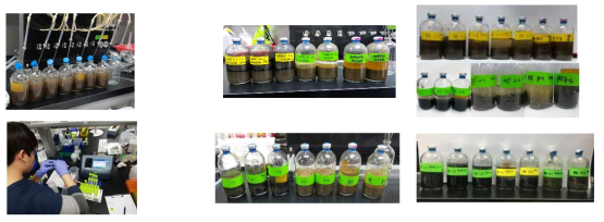 시료분석 및 배양 실험 모습 (각 시료채취 지점별 동일 세팅 및 개수의 반응기 운영)