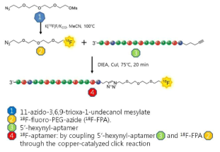 압타머의 F-18 fluoride표지법의 모식도