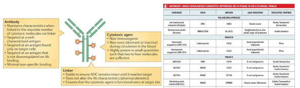 Antibody-drug conjugation (ADC)의 구조와 임상시험 현황