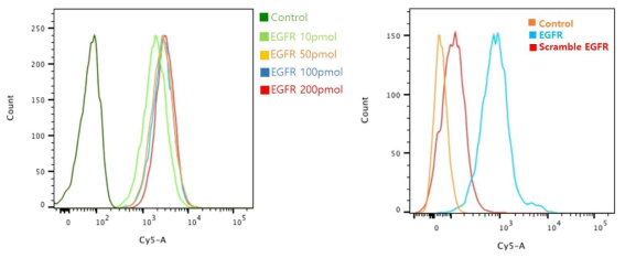 FACS를 이용한 EGFR압타머의 결합친화도 평가. EGFR압타머와 scramble 압타머의 비교