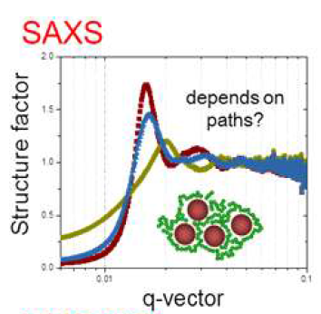 고분자 나노콤포짓의 구조 분석을 위한 SAXS structure factor 결과