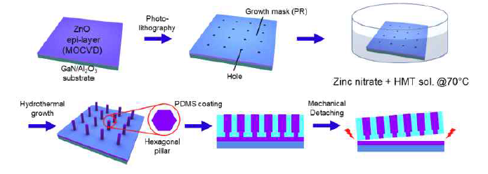 ZnO 육각기둥 어레이 성장 및 전사 과정을 개발