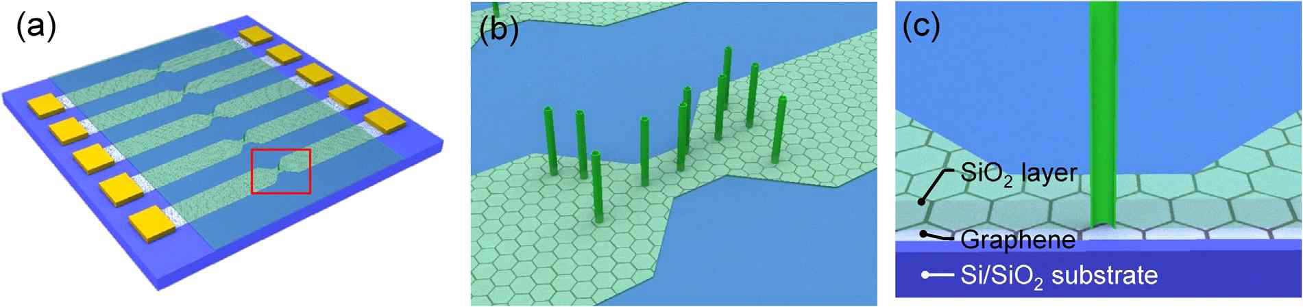 그래핀-실리콘 나노튜브 FE 센서 모식도