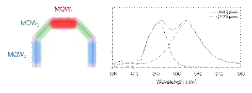 결정 면에 따라 다양하게 형성되어 있는 InGaN MQW scheme 및 결정 면에 따른 CL 분석 결과