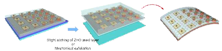 유연 기판 위에 마이크로 LED 결정 전사에 대한 scheme