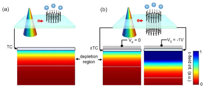 (a) 상부 투명전극(TCE)을 이용한 일반 태양전지. (b) 전기장투과전극(εTCE)을 이용한 광전소자/태양전지의 효율 극대화