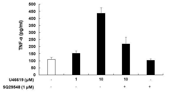 Regulation of U46619 induced TNF-α in SQ29548 treated BV2 microglial cells. BV2 microglial cells were pre-treated with indicated concentrations of SQ29548 for 1 h before U46619 stimulation at 24 h incubation period. Culture supernatants were used to measure the BV2 cells released inflammatory cytokine TNF-α levels by ELISA. Quantitative data represent the mean ± S.D (n=3)