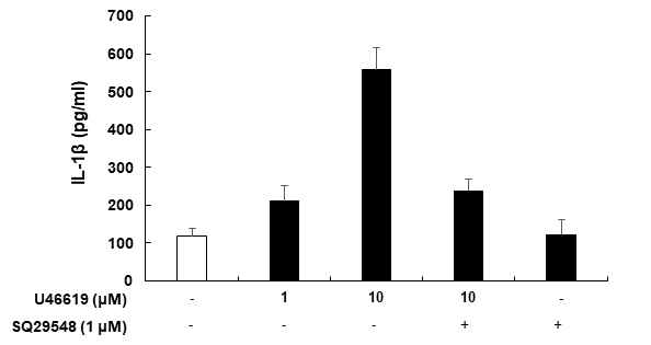 Regulation of U46619 induced IL-1β in SQ29548 treated BV2 microglial cells. BV2 microglial cells were pre-treated with indicated concentrations of SQ29548 for 1 h before U46619 stimulation at 24 h incubation period. Culture supernatants were used to measure the BV2 cells released inflammatory cytokine IL-1β levels by ELISA. Quantitative data represent the mean ± S.D (n=3)