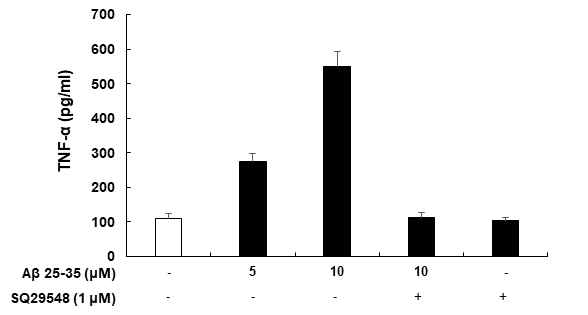 Regulation of Aβ induced TNF-α in SQ29548 treated BV2 microglial cells. BV2 microglial cells were pre-treated with indicated concentrations of SQ29548 for 1 h before Aβ 25-35 stimulation at 24 h incubation period. Culture supernatants were used to measure the BV2 cells released inflammatory cytokine TNF-α levels by ELISA. Quantitative data represent the mean ± S.D (n=3)