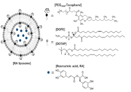 Illustration of RA liposome and chemical structure