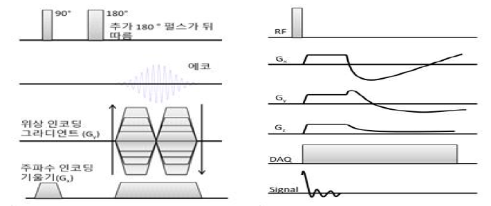 (a) RARE 펄스 시퀀스, (b) TPI 펄스 시퀀스