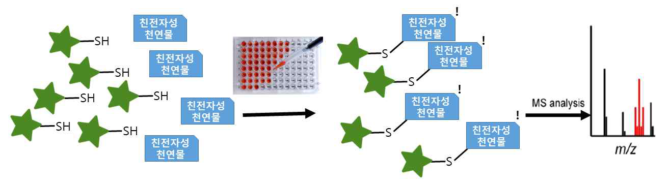 새로운 구조의 프로브와 효율적 반응조건 개발을 통해 구축하고자 하는 친전자성 천연물 스크리닝의 개요