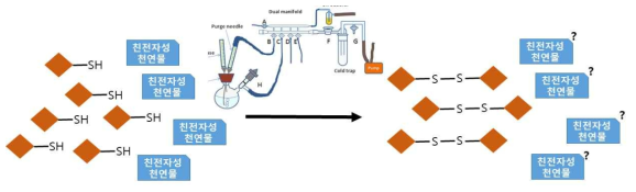 Thiol 프로브를 이용한 친전자성 천연물 발굴의 난점(프로브의 이량체화, 반응조건의 비효율 성)