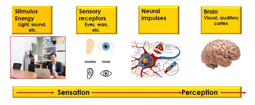 인간이 외부 정보로부터 사물을 인지하는 순서