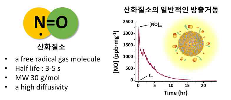 산화질소의 특성 및 급격한 일반적인 방출거동