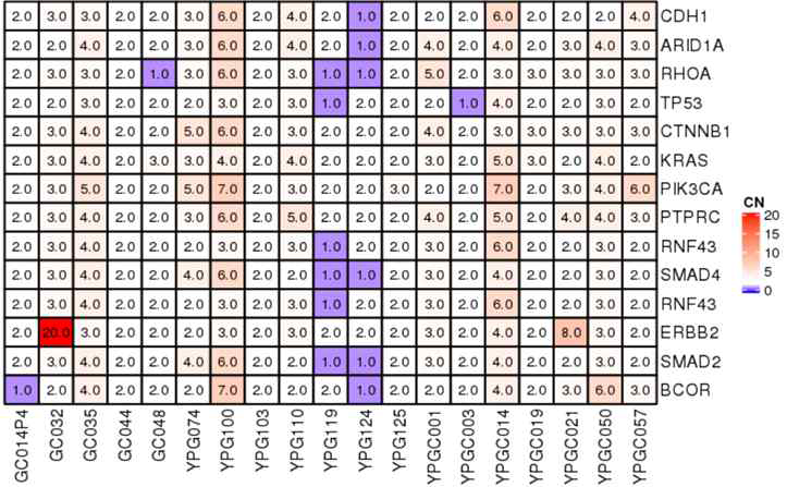 driver mutations 분석(copy number variation)