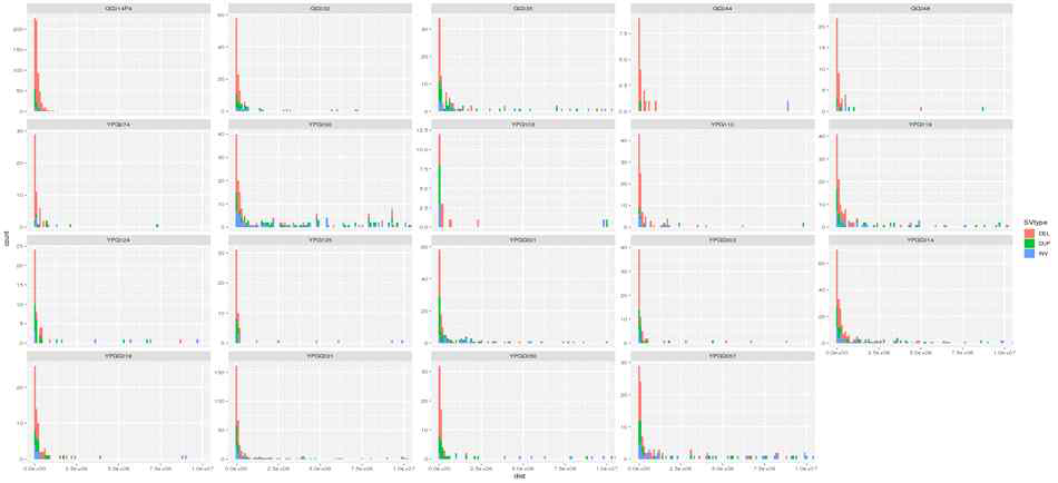 short segments in each sample (SV)