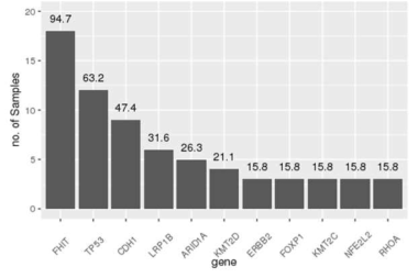 Driver mutation gene frequency (SNV, indel, SV)