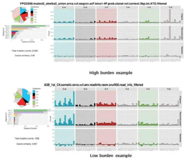 Examples of high and low burden of mutational signature 17