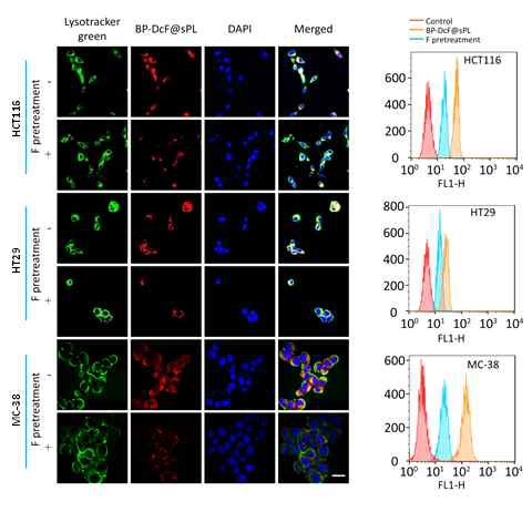 Confocal images and FACS analysis of the cells incubated with BP-DcF@sPL with and without F pretreatment