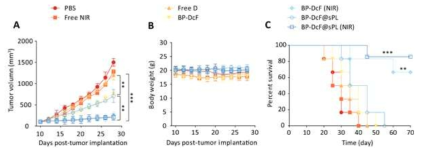 Potent therapeutic efficacies of BP-DcF and BP-DcF@sPL in the absence and presence of NIR irradiation, including individual PBS, NIR, and D for comparison purposes against HCT-116 tumor via the monitoring of tumor volume, body weight, and survival rate (N = 6 for each group, **p < 0.01, ***p < 0.001). The sample injections were performed and continued on days 10, 13, 16, 19, 22, and 25 when the tumor size reached 100 mm3. The NIR irradiation (808 nm, 1.5 W/cm2, 5 min) was applied 8 h after each injection. (A, B) Average tumor volumes and body weights of the treated mice. (C) Percentages of surviving mice with different treatments