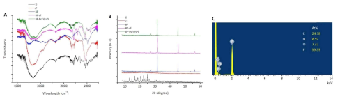 흑린 나노시트(BP)에 DcF@sPL이 로딩되는지 여부를 각각 푸리에 변환 적외선 분광기(A), X-선회절 분석기(B) 및 에너지-분산형 X-선 분광(C)으로 확인한 결과