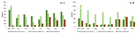 봉암갯벌에서 2018년 3월부터 10월까지 출현한 주요 다모류의 서식밀도 변동 양상