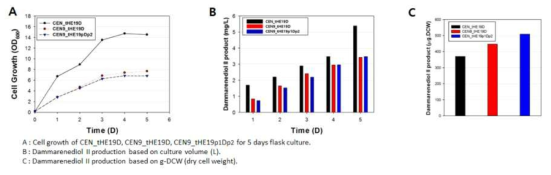 세포 소기관 조절 효모의 성장과 dammarenediol II 생산성 증대 효과 확인