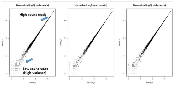 샘플간 3종의 replicate의 분포정도와 read counts의 크기별 연관도 분석