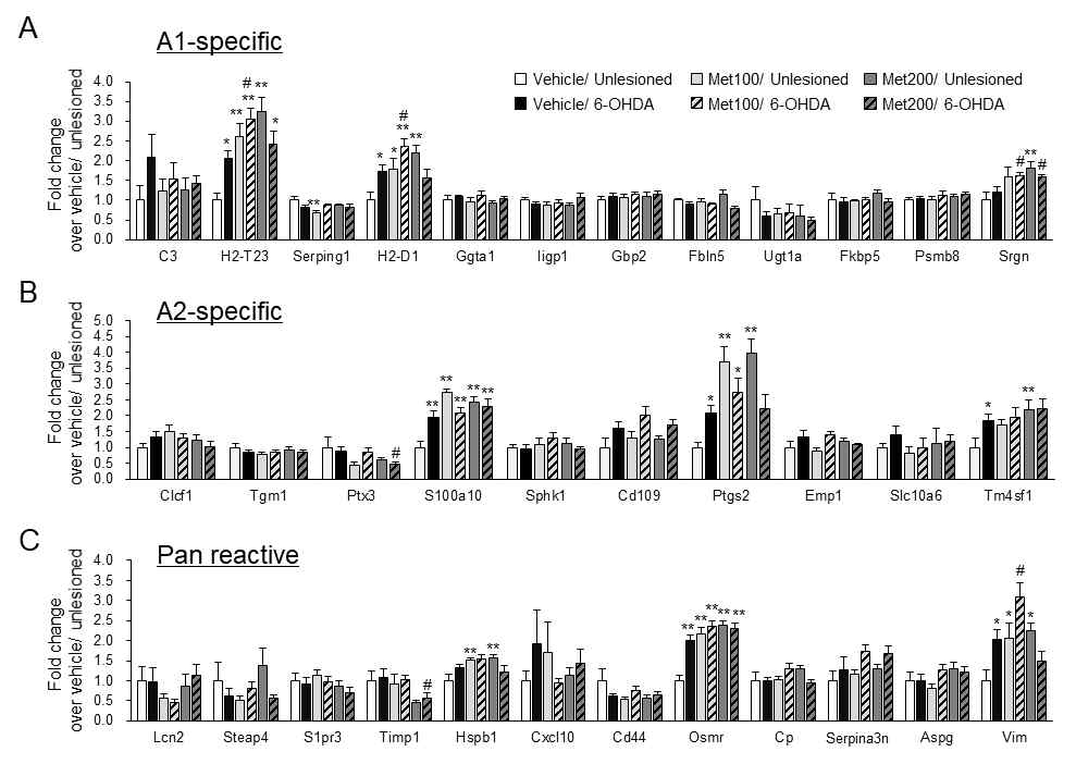 파킨슨병에서 Met투여에 의한 astrocyte type specific gene의 발현 변화