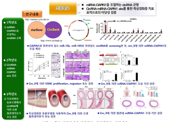 후속 연구과제의 최종목표, 연차별목표, 연구내용