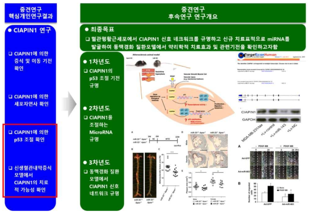 본 연구의 목표 및 내용