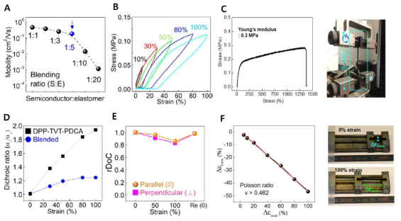 (A) 고분자 반도체와 탄성체간의 컴포짓 비율에 따른 전공 이동도. (B) 1:5 (고분자반도체:탄성체) 컴포짓 탄성체층의 스트레인-스트레스 사이클릭 커브. (C) 1:5 컴포짓 반도체 소재의 파단 스트레인-스트레스 커브. (D) 컴포짓 및 고분자 반도체의 다이크로익 비율 (Dichoic ratio). (E) 스트레인에 따른 탄성체 컴포짓의 결정화도. (F) 1:5 컴포짓 반도체 소재의 프아시옹 비율 (poisson’s ratio)